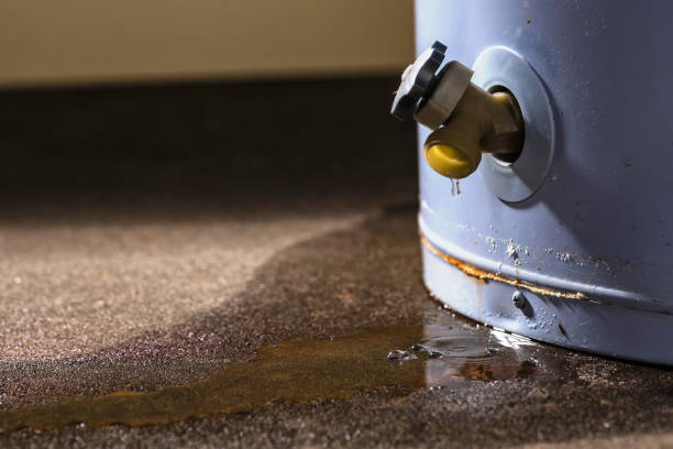 Best Mold removal after water damage  in De Pue, IL