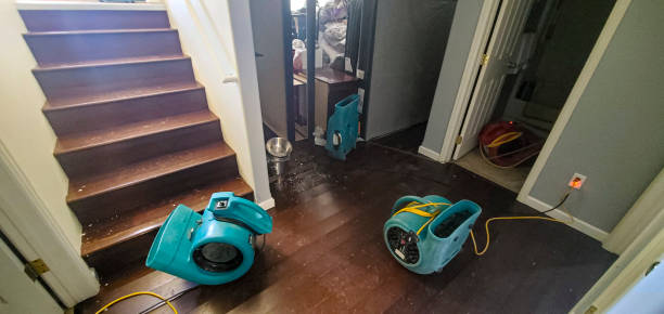Sewage cleanup and water damage restoration in IL