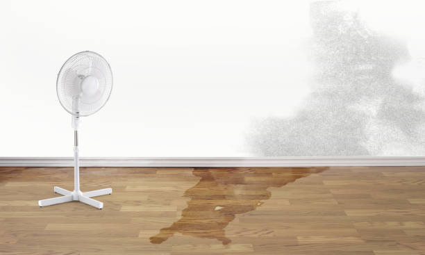 Best Water damage restoration mold remediation  in De Pue, IL