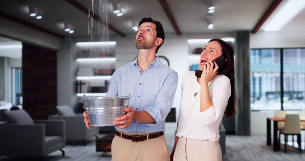 Best 24-hour water damage restoration  in De Pue, IL
