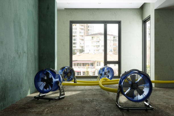 Best Water damage restoration near me  in De Pue, IL