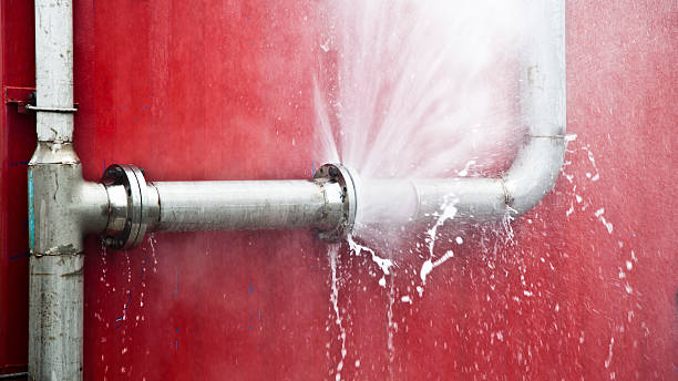 Best Water damage cleanup near me  in De Pue, IL